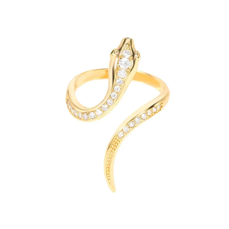 Stainless Steel Rings collection.