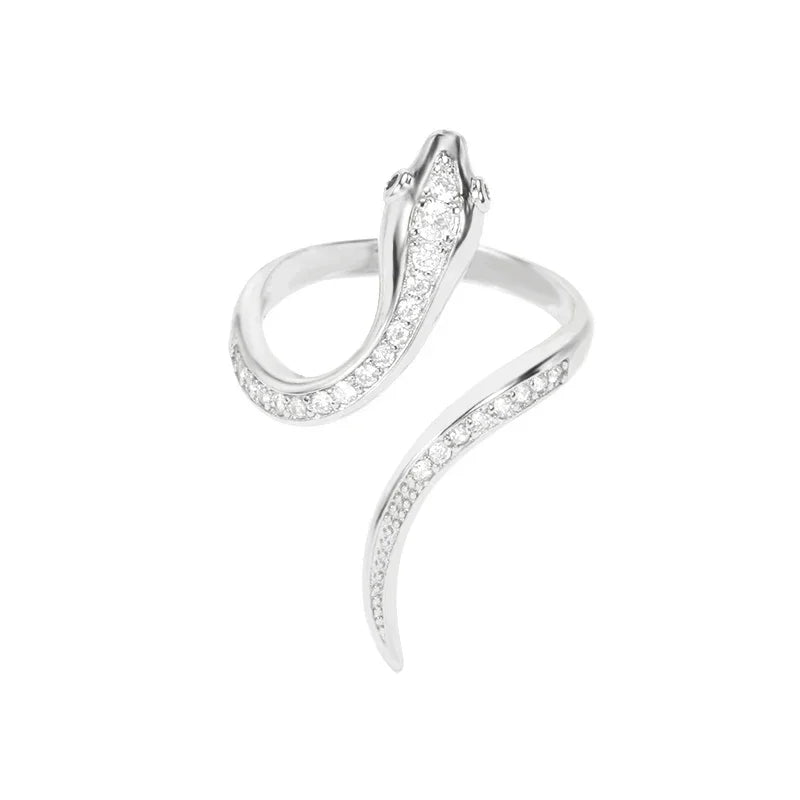 Stainless Steel Rings collection.