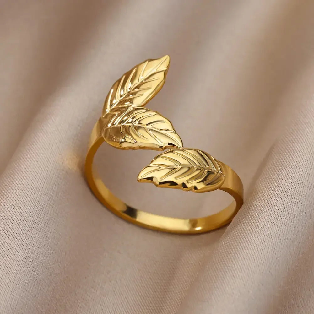 Stainless Steel Rings collection.