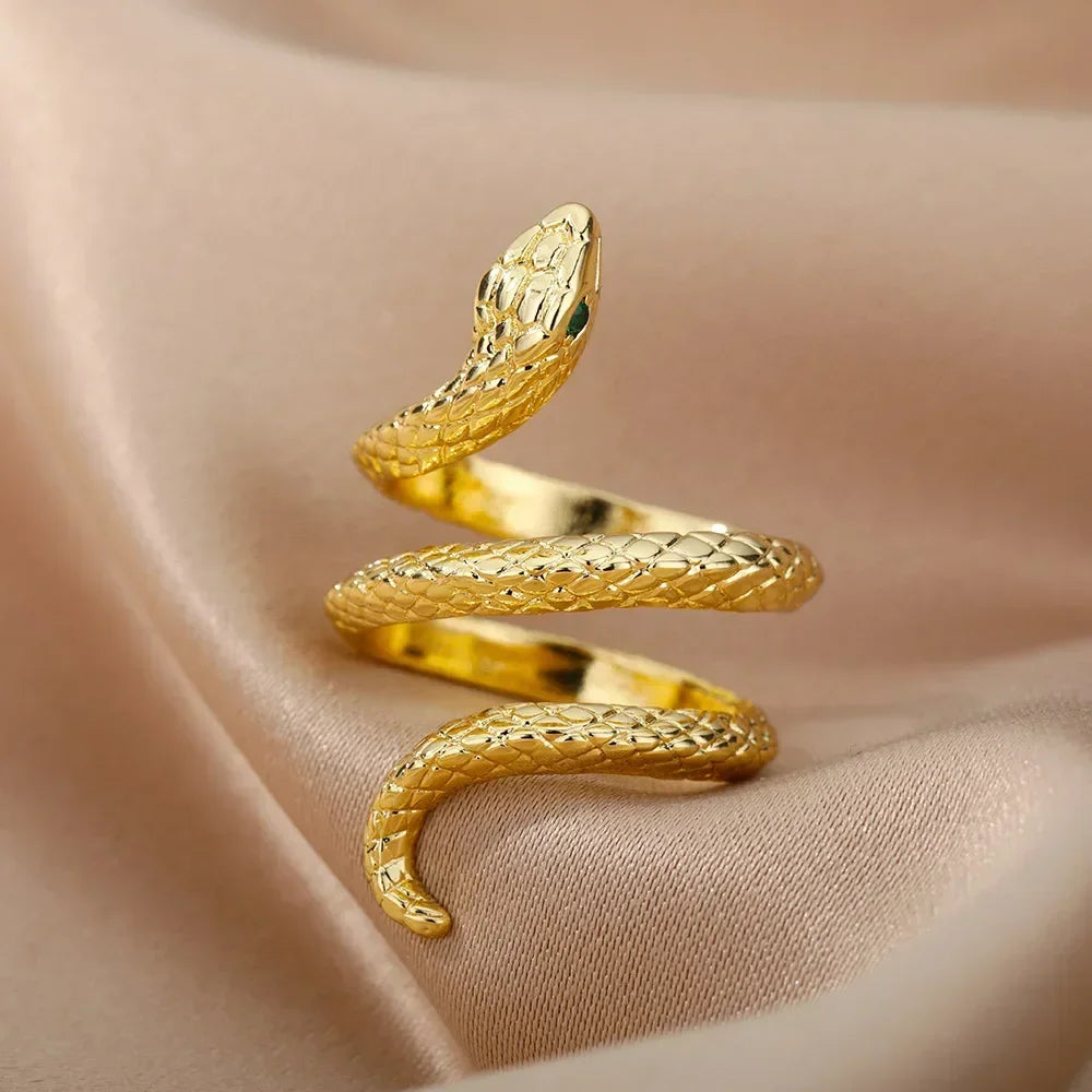 Stainless Steel Rings collection.